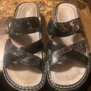 Alegria Victoriah Exotic